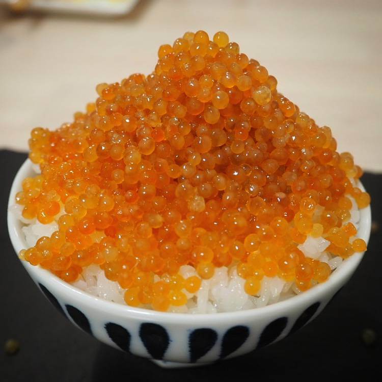 カジカの子ご飯を作ってみた！カジカの子はまるでキャビア!!