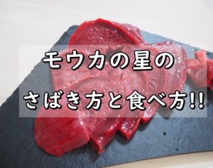 【サメの心臓】モウカの星はまるでレバ刺し!!さばき方と食べ方を紹介!!